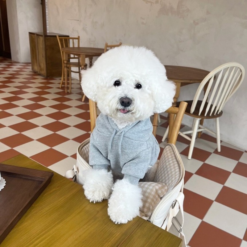 Winter Clothing For Boys - Letter Hoodie Pet Clothing Dogs Fashion