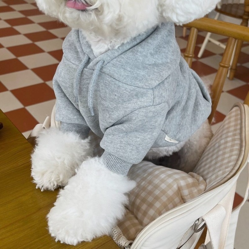 Letter Hoodie Pet Clothing Dog - Winter Clothing For Boys recension och pris