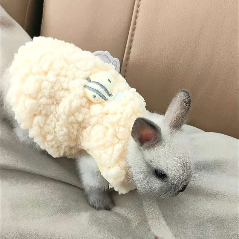 Winter Warm Bunny Rabbit Sweat - Winter Clothing Newborn recension och pris
