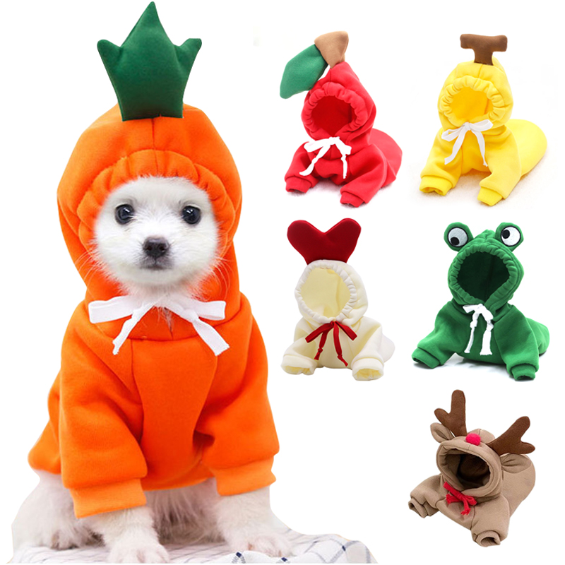 Cute Fruit Dog Clothes for Sma - Winter Clothing Pictures recension och pris