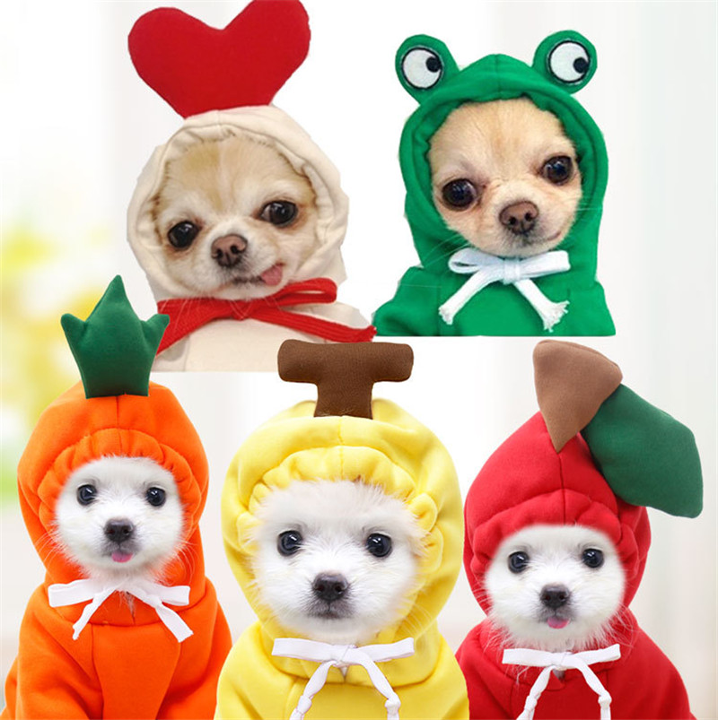 Cute Fruit Dog Clothes for Sma - Winter Clothing Pictures recension och pris