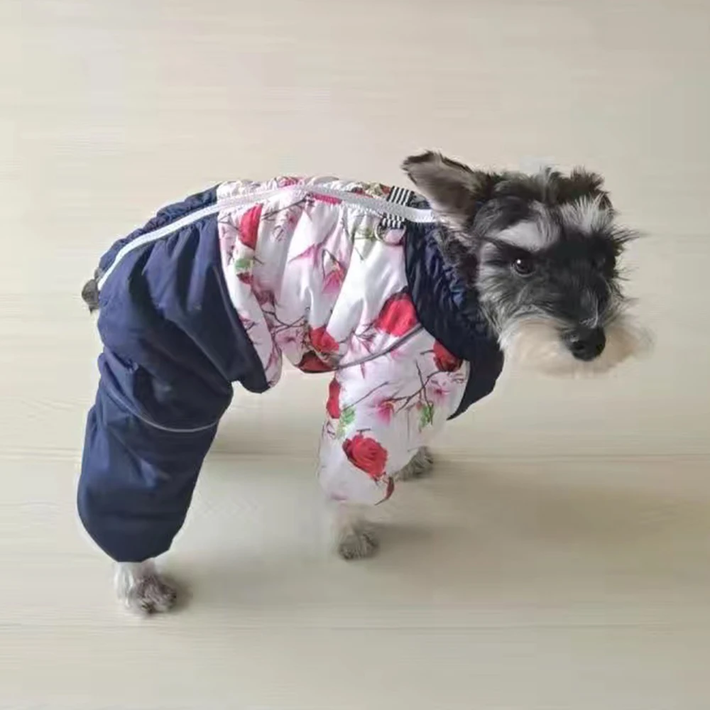 Pet Winter Clothes Waterproof  - Winter Clothing For Boys recension och pris